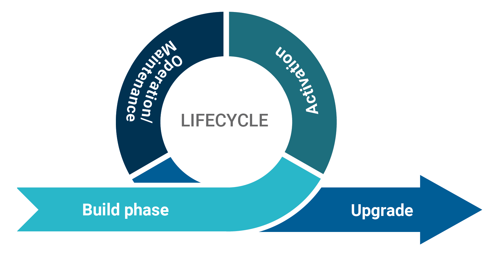 FTTH network lifecycle phases